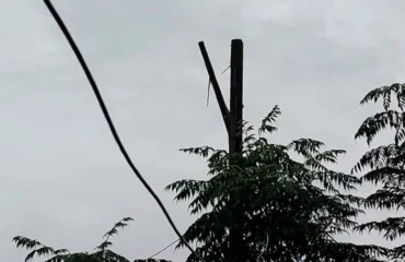 albero spaccato dal fulmine a san sperate