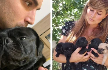Cesare, il cane di Bartolini: le volontarie smentiscono il racconto dell'atleta, "Abbiamo accudito noi mamma e cuccioli’”
