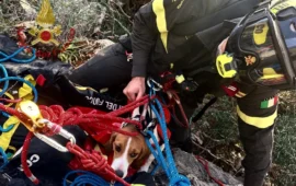 cane salvato a masua