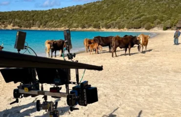 post di Riccardo Milani FB