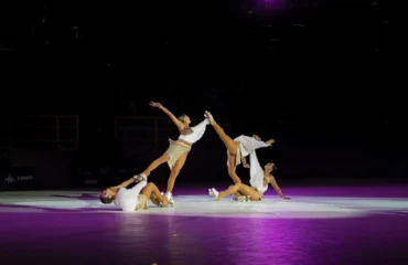 flamingo roller show