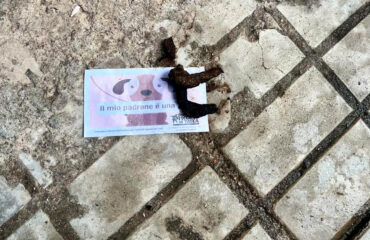 I biglietti e le deiezioni