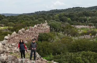 monte baranta olmedo