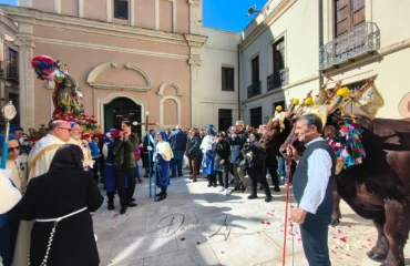 benedizione buoi sant'efisio