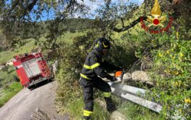 Vigili del fuoco, maltempo, nuorese PH Vigili del Fuoco