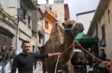 Rodolfo a Seui