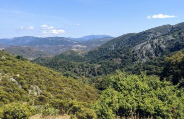 foresta sardegna