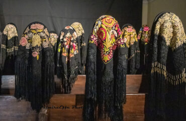 mostra a oliena