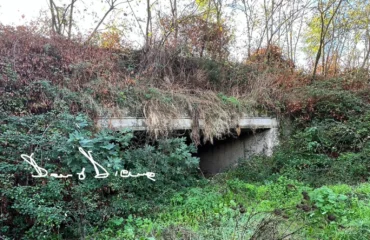 tomba sas concas a oniferi