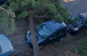 albero caduto lanusei