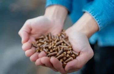 pellet, immagine di repertorio